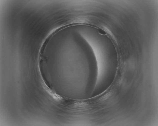 X0000070351035200606161311