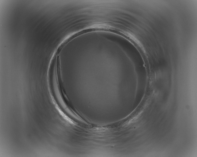 X0000070351037200606161311
