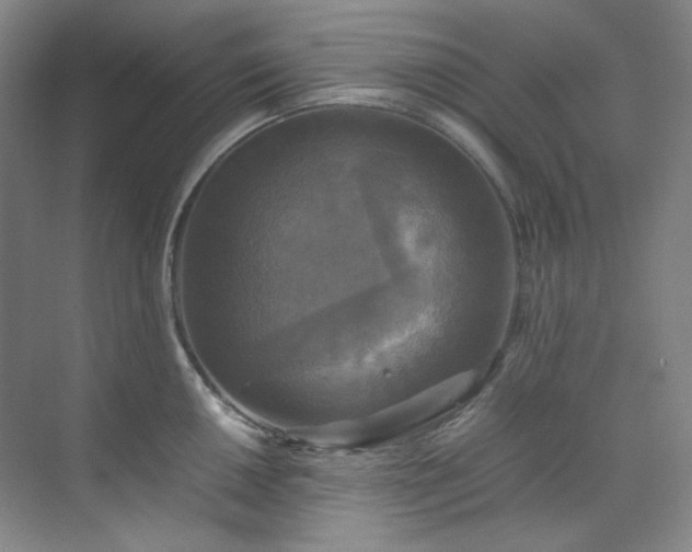 X0000070351050200606161311