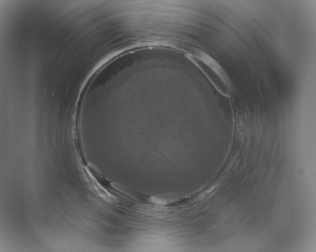 X0000070351052200606161311