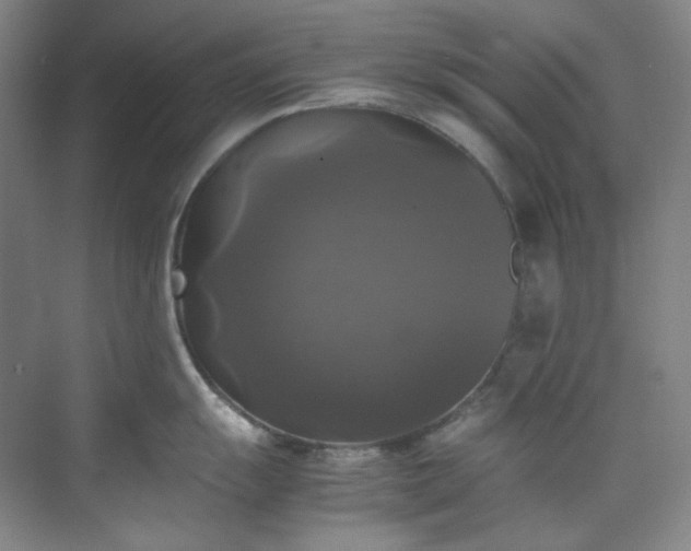 X0000070351055200606161311