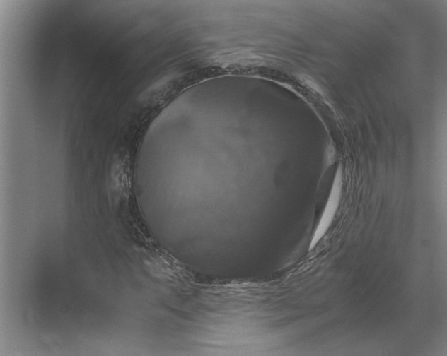 X0000070351063200606161310