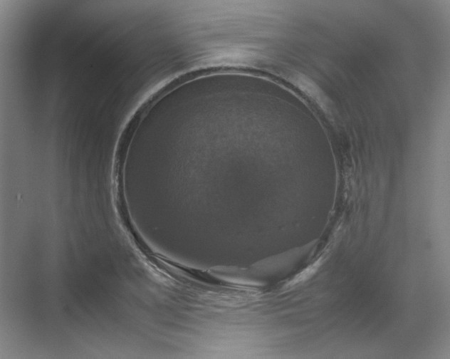 X0000070351077200606161310