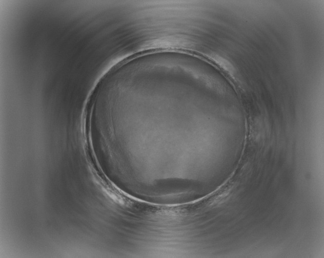 X0000070351078200606161310