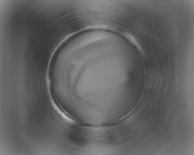 X0000070351084200606161310