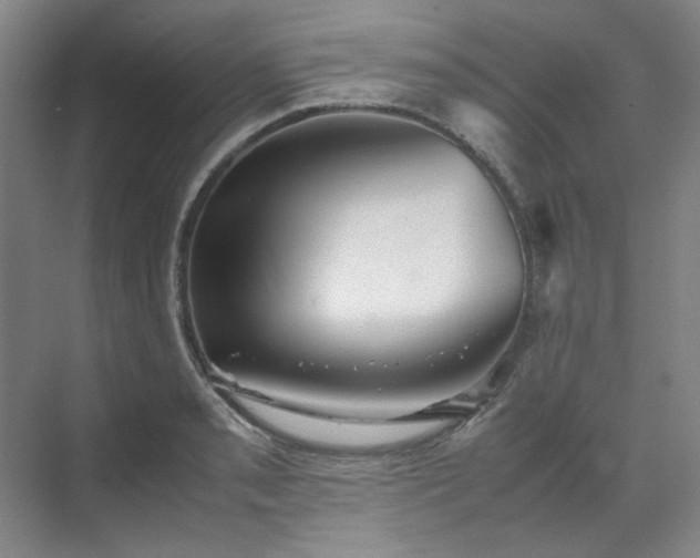 X0000070351085200606161310