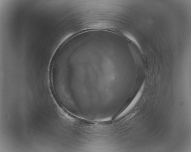 X0000070351087200606161310