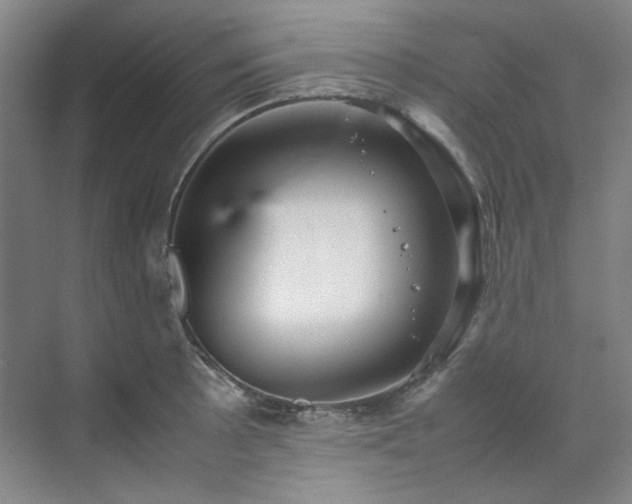 X0000070351089200606161310