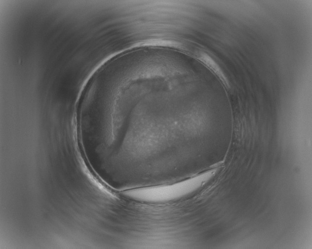 X0000070351092200606161310