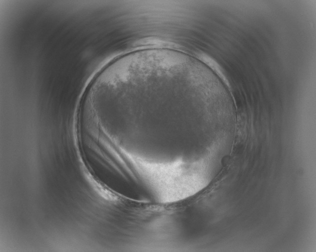 X0000070351098200606161310
