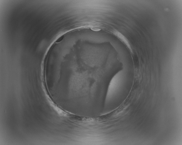 X0000070351099200606161310