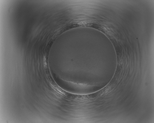 X0000070351106200606161309