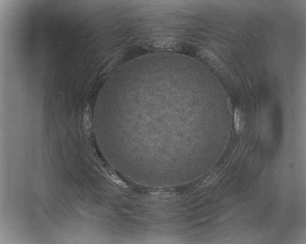 X0000070351107200606161309