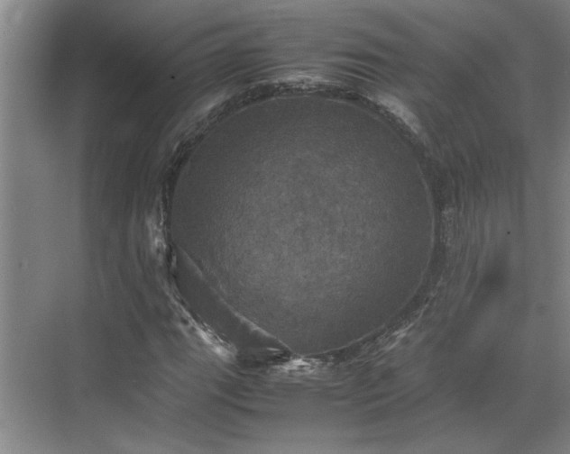X0000070351111200606161309