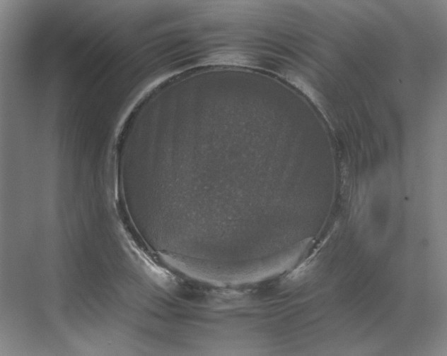 X0000070351123200606161309