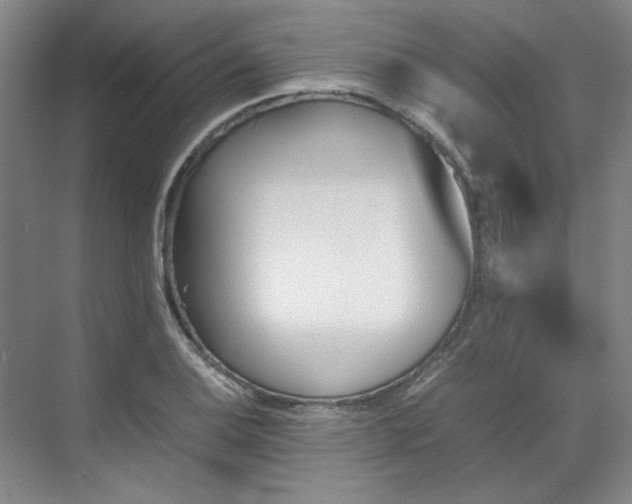 X0000070351124200606161309