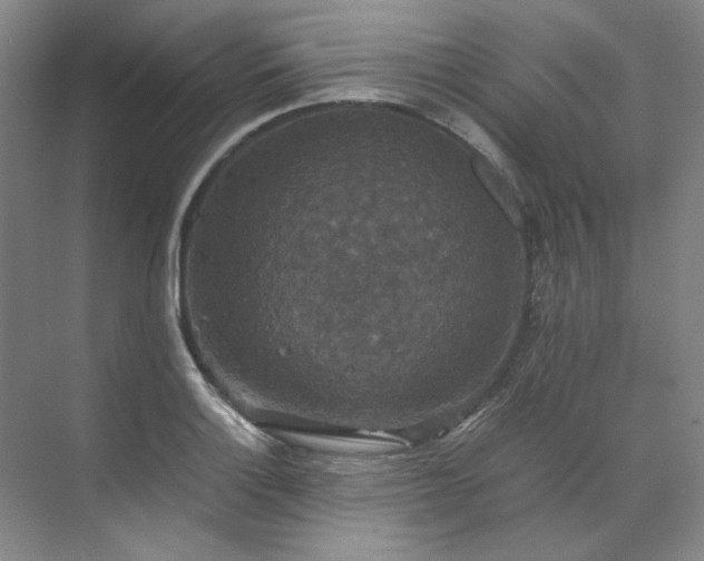X0000070351132200606161309