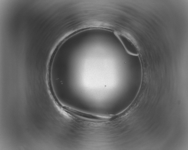 X0000070351136200606161309