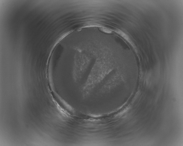 X0000070351145200606161310