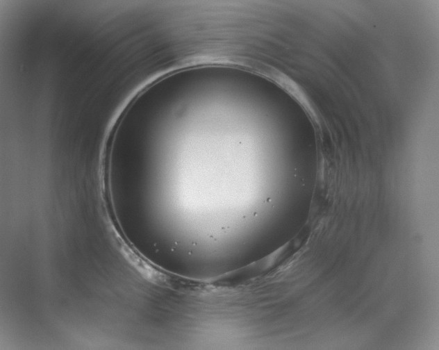 X0000070351148200606161310