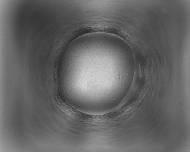 X0000070351153200606161309