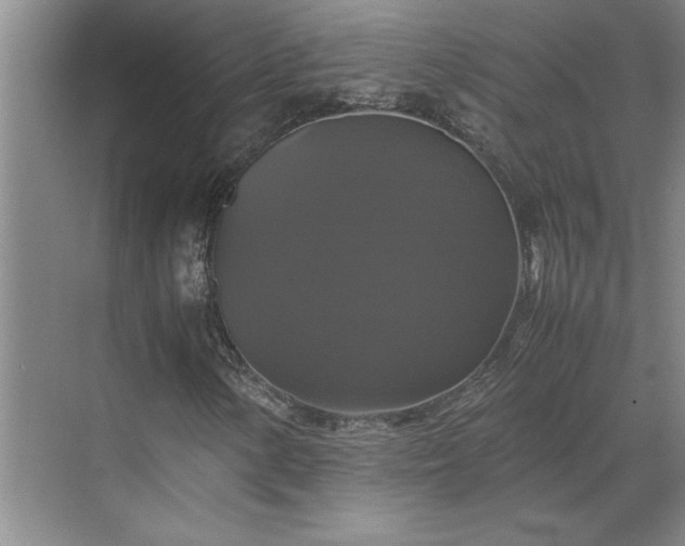 X0000070351154200606161309