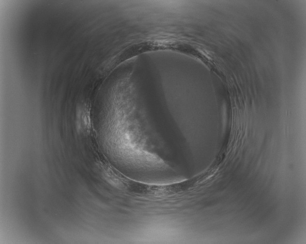 X0000070351155200606161309