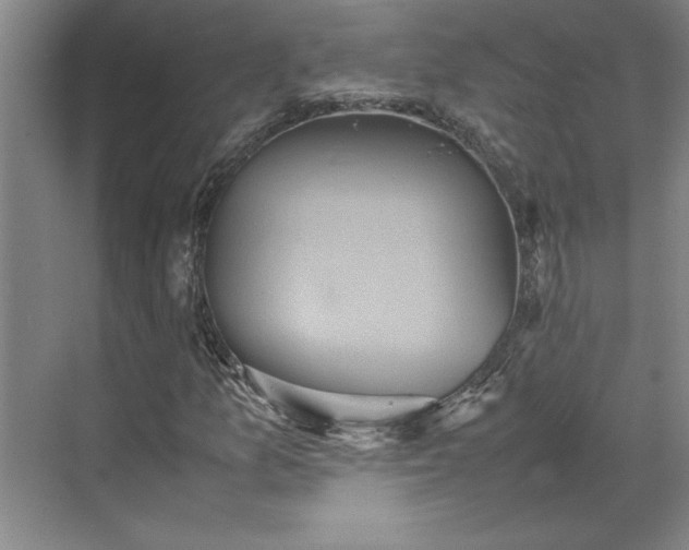 X0000070351157200606161309