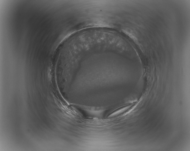X0000070351163200606161309
