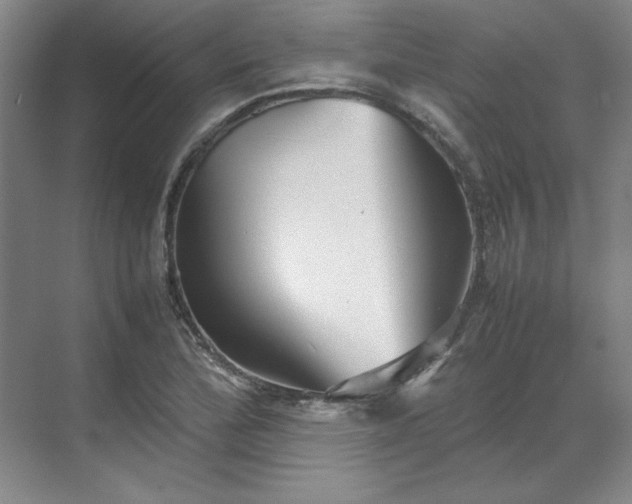 X0000070351172200606161309