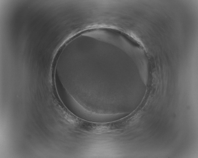 X0000070351173200606161309