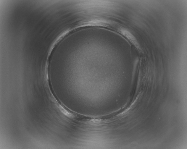 X0000070351180200606161308