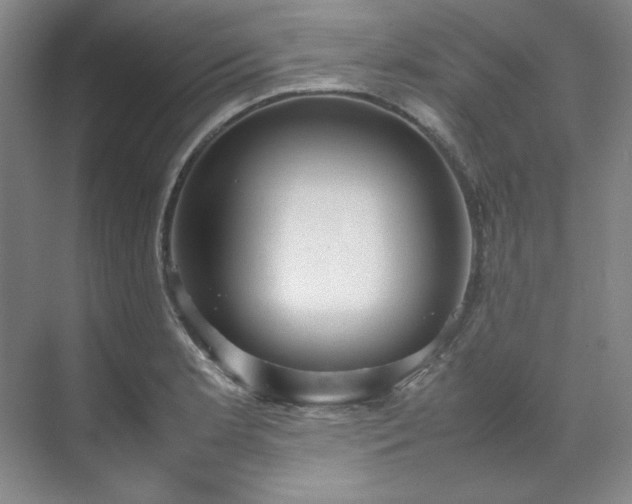 X0000070351181200606161308