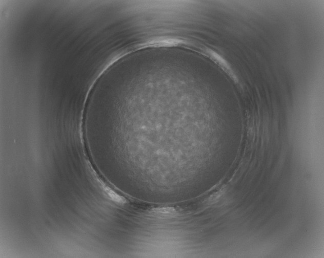 X0000070351186200606161308
