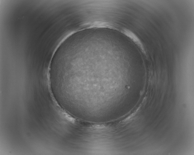 X0000070351190200606161308