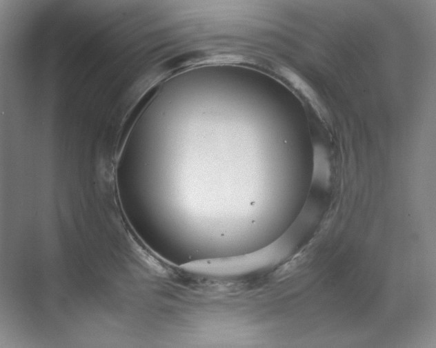 X0000070351193200606161308