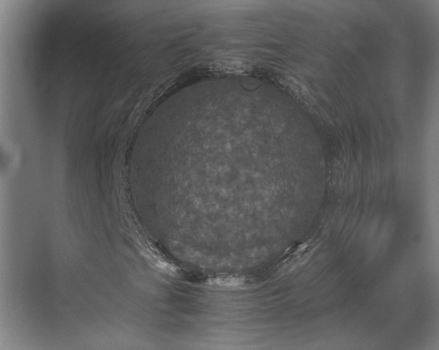 X0000070351201200606161307