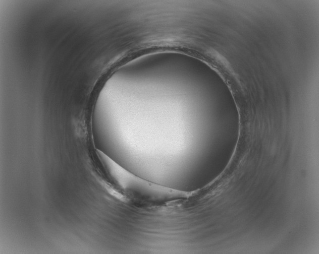 X0000070351218200606161308