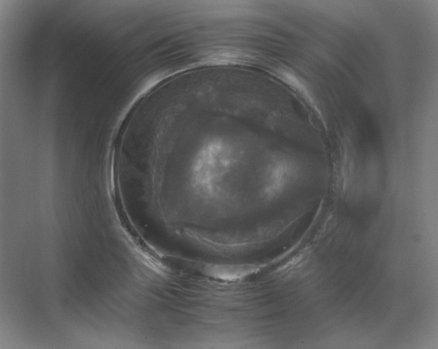 X0000070351227200606161308