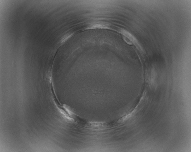 X0000070351241200606161308