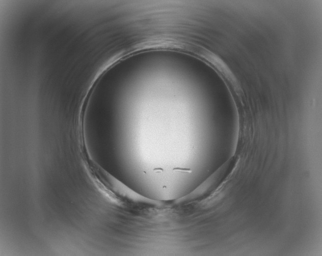 X0000070351242200606161308
