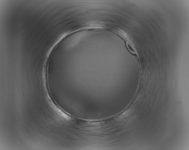 X0000070351243200606161308