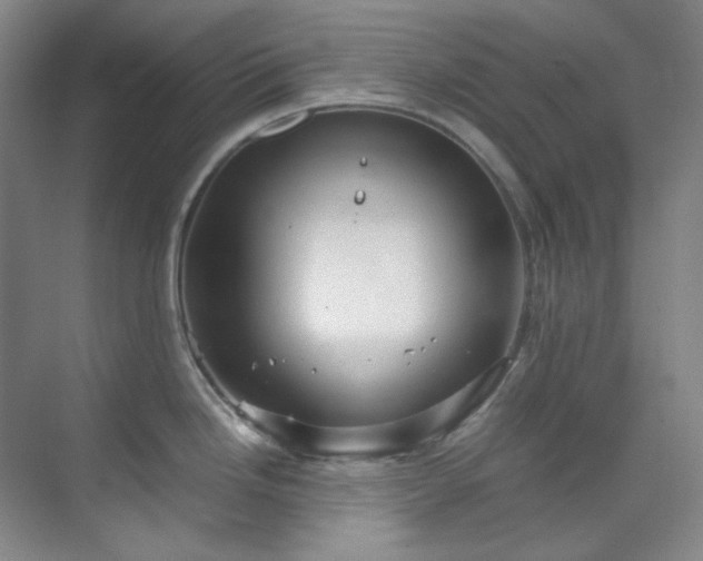 X0000070351246200606161308