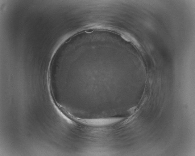 X0000070351247200606161308