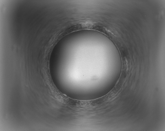 X0000070351249200606161307