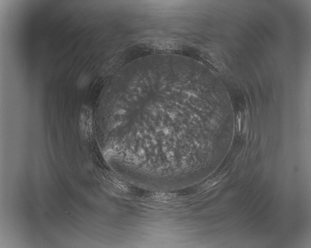 X0000070351251200606161307