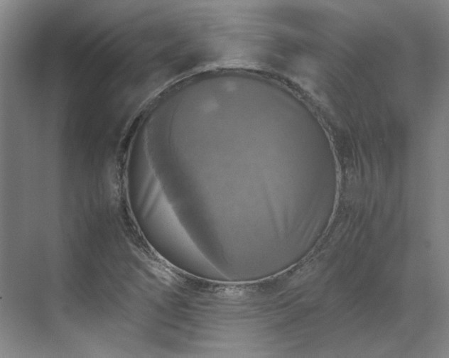 X0000070351266200606161307