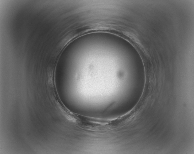 X0000070351273200606161307