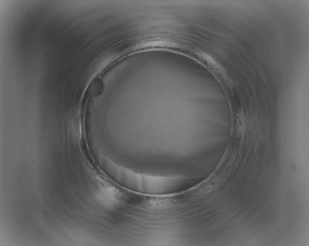 X0000070351274200606161307