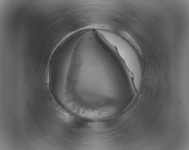 X0000070351276200606161307